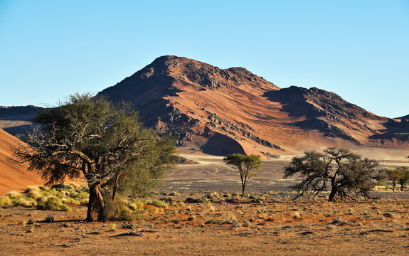 African landscape, desert and mountains.