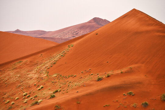 Desert landscape - sand dunes, savanna and grass