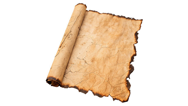 Blank textured ancient rolled paper parchment scroll isolated on transparent background