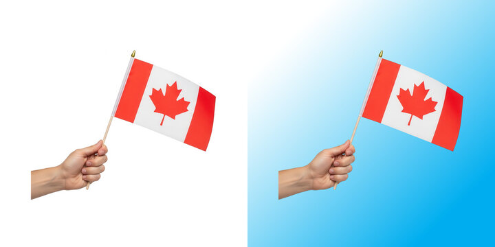 A hand holding a small canadian flag isolated on a white background for national holidays