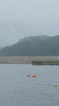 霧の中、穏やかな海を撮影