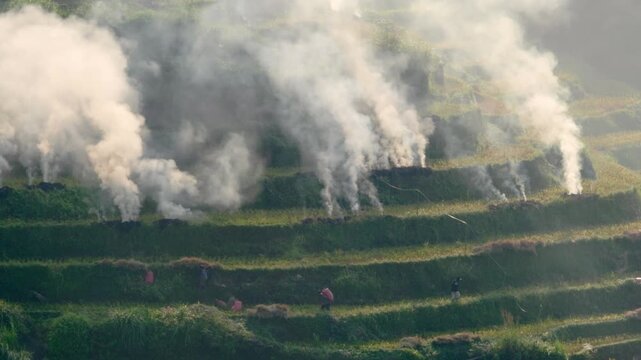 Farmers mass burn dried rice stubble causing thick dense smoke in the rice terraces wrapping the mountainous landscape, contouring Ban Khoang district, Lao Cai.