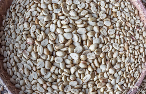 Grains non torr&eacute;fi&eacute;s de caf&eacute; 