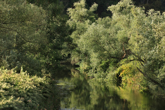 Blick &uuml;ber die Ruhr in den flu&szlig;begleitenden, naturbelassenen, dichten Auwald am Flussufer bei Arnsberg, im Naturschutzgebiet Altes Feld, im Sp&auml;tsommer.