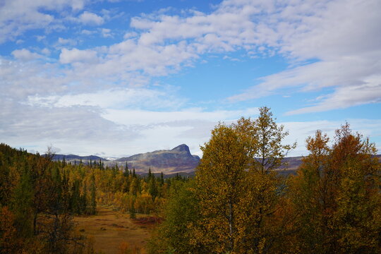 Bitihorn and the autumn forest