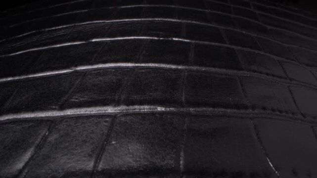 Leather Background. Black Leather Grain with Organic Pattern