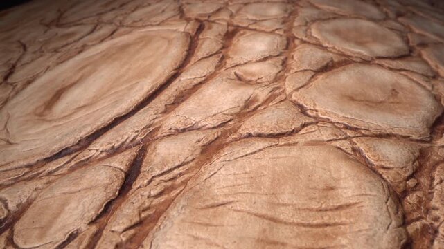 Close-up of natural leather texture with a distinctive embossed pattern
