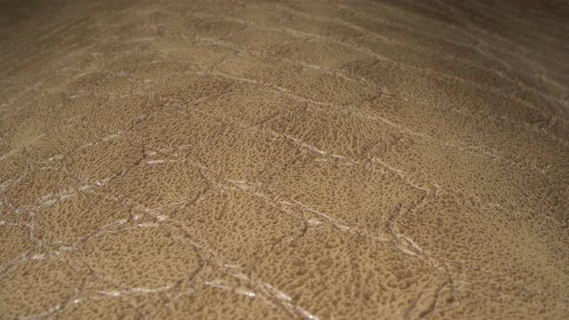 Detailed natural leather surface with a rich textured pattern and organic grain