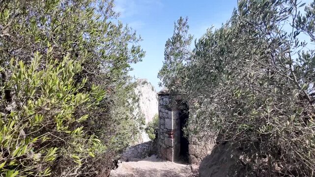 Ancient stone watchtower hut framed by olive trees in Gibraltar