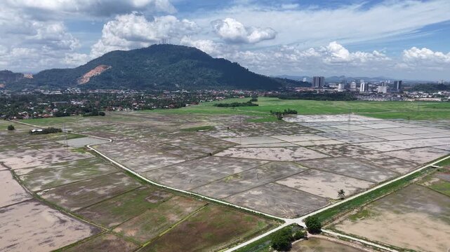 Aerial vast landscape of rice fields divided by roads, with a mountain range at Bukit Mertajam