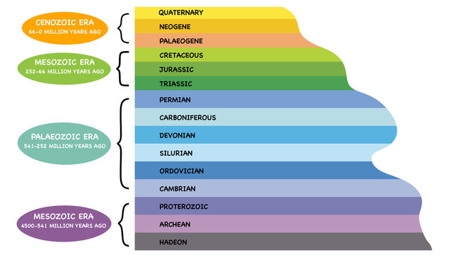 Geological infographic illustrating the earth history timeline, displaying chronological divisions of eons, eras, and periods within the official geologic time scale for science education