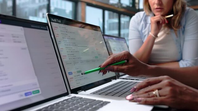 Auditor Carefully Tracks Data Changes On Computer