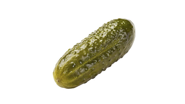Single fresh green bumpy cucumber pickled gherkin isolated on transparent background