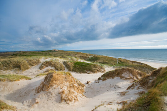Wide and sandy beach with high dunes in Skodbjerge holiday area between Haurvig and Bjerreg&aring;rd, Denmark