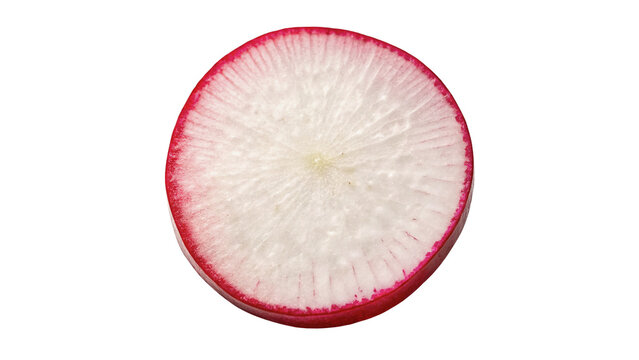 Single round slice of fresh pink radish root isolated on transparent background
