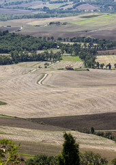 Obraz premium The rural landscape near Pienza in Tuscany. Italy