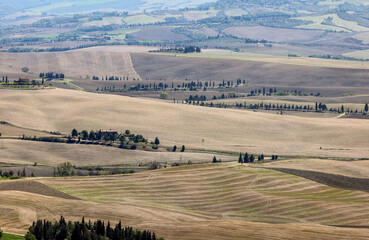 Obraz premium The rural landscape near Pienza in Tuscany. Italy