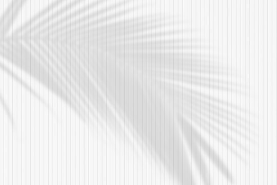 Tropical summer nature light shadow of palm leaf on white wood panel texture on outdoor background