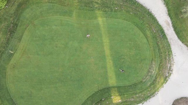 Top down aerial perspective of two golfers putting on a lush green course. One player successfully sinks the ball into the hole