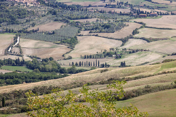 Obraz premium The rural landscape near Pienza in Tuscany. Italy