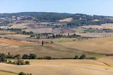 Obraz premium The rural landscape near Pienza in Tuscany. Italy