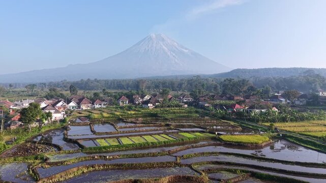 Drone aerial panorama of terraced paddy fields with Mount Semeru rising above misty village morning
