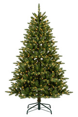 Fototapeta premium Illuminated green Christmas tree with warm lights
