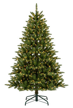 Illuminated green Christmas tree with warm lights