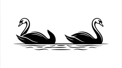 Obraz premium Black and white vector illustration of two elegant swans swimming on the water in a graceful design