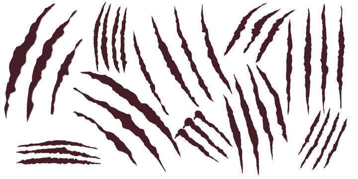 Claw marks scratch set, animal claw rip cut slit wound pattern .