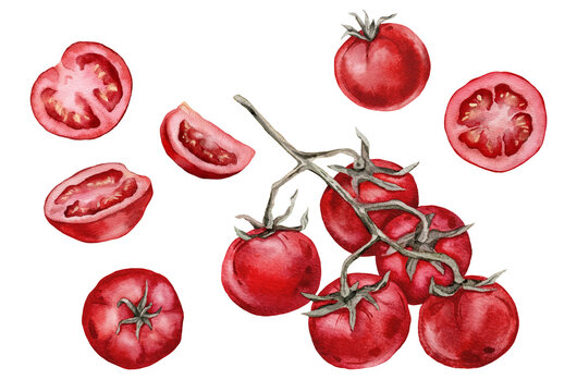 Hand painted watercolor set of ripe red cherry tomatoes with cluster on branch, single whole fruits, halved and sliced pieces, isolated on white background, vegetable illustration for kitchen decor.