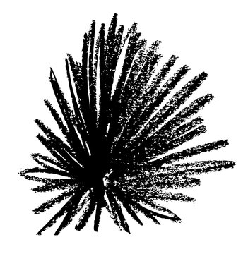 Hatch pencil line texture, crayon scribble stroke pattern