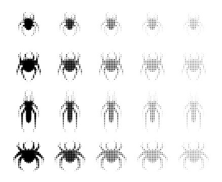 Spider halloween icon, spooky cartoon black widow spider isolated