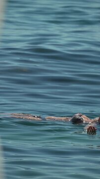 Relaxing vacation mood with woman floating gently on calm ocean waves. Medium static shot capturing peaceful summer lifestyle.