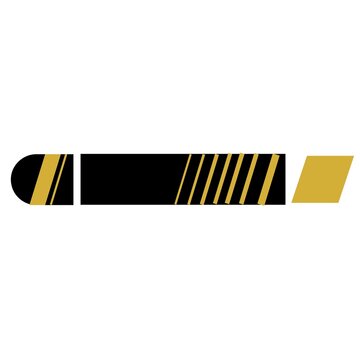 Black and Gold Striped Geometric Banner Design