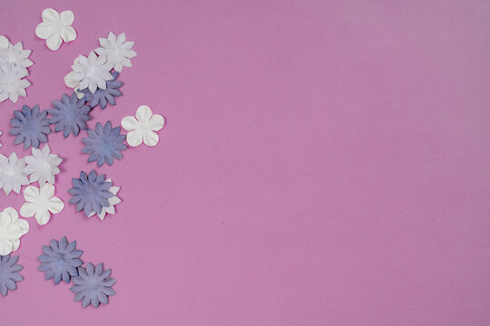 horizontal image with a pink background and white and purple flowers. Copy space.