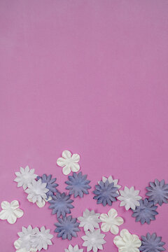 Vertical image with a pink background and white and purple flowers. Copy space.