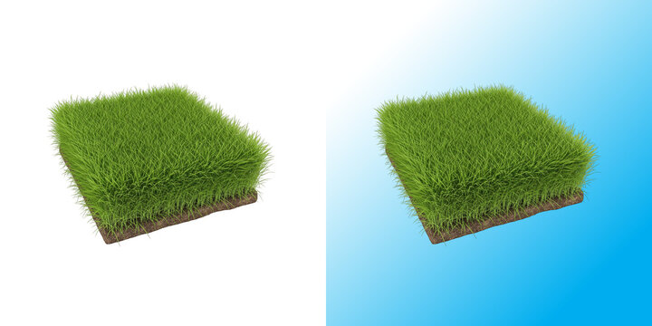 Square patch of fresh green grass with soil base isolated on white background