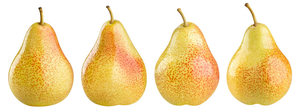 Set of four ripe yellow red pears with stems, isolated on transparent cutout background