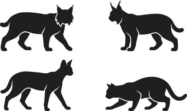 Wild cat silhouettes vector set including lynx bobcat and stalking feline predators isolated on clean white background