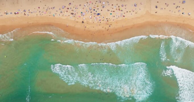 Top down aerial view of vibrant sandy shore of Manly Beach in Sydney with sunbathers, swimmers, and surfers enjoying the turquoise ocean waves. Coastal landscape. Summer travel vacation background