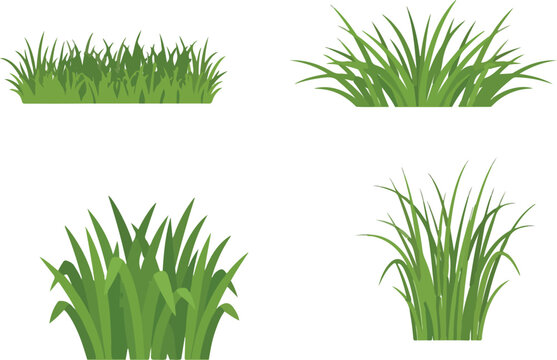 Green grass tufts set vector illustration featuring realistic fresh lawn bushes field turf elements for nature and landscape design isolated on white background