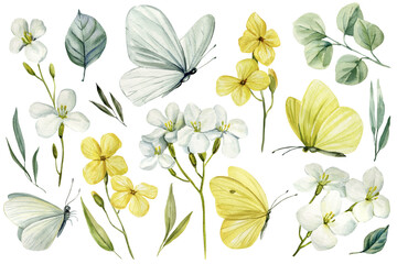 Obraz premium Butterflies and flowers watercolor set with yellow blooms and pale green leaves on white background for spring wedding invitations