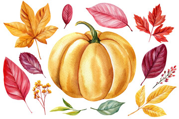 Obraz premium Pumpkin and autumn leaves watercolor set with amber foliage and burgundy sprigs isolated on white for Thanksgiving cards and decor