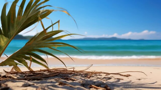 Tropical Beach Scene with Palm Leaf and Turquoise Ocean