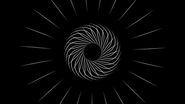 Abstract circles explosion elements on black screen, 4k line shape blast, random circle sparkle, flat vector firework explosion animation, pop-up visual fx template.