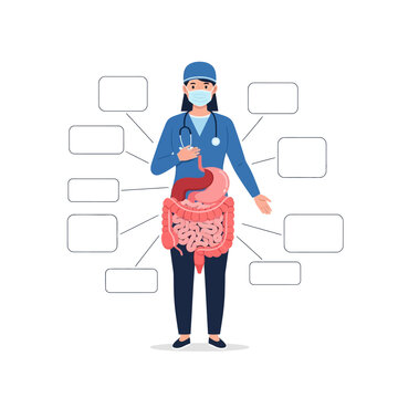 Female doctor pointing to human digestive system anatomy.
