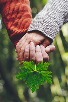 Two people holding hands above a green leaf in forest, showing connection, support and love, wearing knit sweaters; close-up natural light, shallow depth field, peaceful moment.