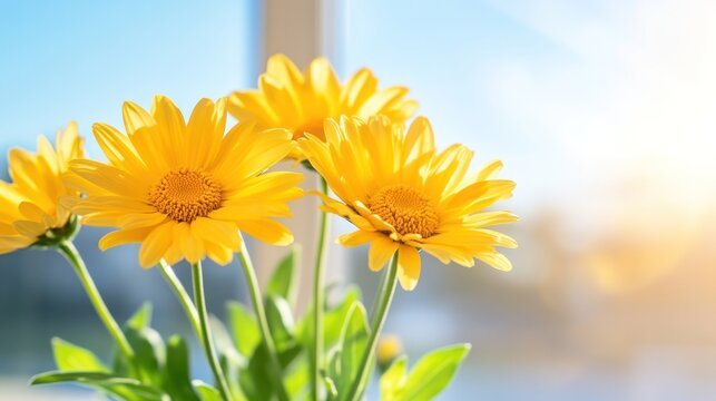 Sunny Daisies by the Window: A cluster of vibrant yellow daisies, their petals reaching towards the sky, sit by a window, bathed in the warm, gentle light of the sun.