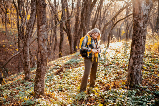 Smiling woman with backpack enjoys autumn hiking in sunny forest. Active female traveler walks among trees on yellow leaf path. Burnout recovery, solitude and mental health concept, nature trip.